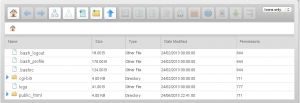 Browser redirection using .htaccess file: file manager directory