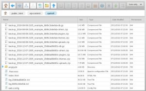 PpdrafPplus backup file save directory