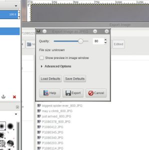 Introduction to the Gimp image program: export image