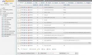 Using phpMyAdmin add user wp_usermeta list