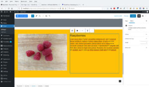 WordPress Gutenberg Adding Full Width Background Stripes: inner column select from breadcrumb