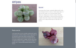 WordPress Gutenberg Adding Full Width Background Stripes: Public page view