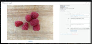 WordPress Gutenberg Editor Adding an Image - media library image metadata