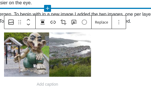 WordPress Gutenberg Editor Adding an Image - icon menu bar options