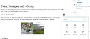 WordPress Gutenberg Editor Adding an Image - select image block
