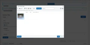 10web Photo Gallery, add new gallery -add preview image, select image