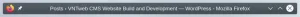 KDE Shading Window Titlebar -shaded Firefox titlebar