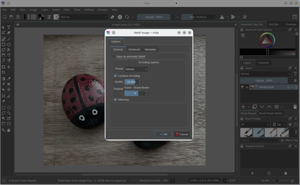 Resize Images and Save as webp with Krita - webp image